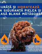 DOUXO SPA Shampoo 2 in 1 Conditioning șampon și balsam 2în1 câini descâlcirea blănii Vanilie și Nucă de cocos flacon 250ml