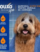 DOUXO SPA Shampoo 2 in 1 Conditioning șampon și balsam 2în1 câini descâlcirea blănii Vanilie și Nucă de cocos flacon 250ml