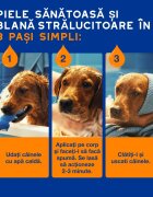 DOUXO SPA Shampoo 2 in 1 Conditioning șampon și balsam 2în1 câini descâlcirea blănii Vanilie și Nucă de cocos flacon 250ml