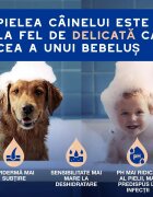 DOUXO SPA Shed Control șampon câini anti-năpârlire Vanilie și Nucă de cocos flacon 250ml