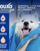 DOUXO SPA Shed Control șampon câini anti-năpârlire Vanilie și Nucă de cocos flacon 250ml