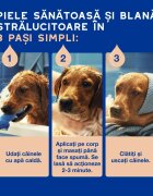 DOUXO SPA Shed Control șampon câini anti-năpârlire Vanilie și Nucă de cocos flacon 250ml
