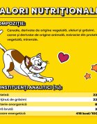 DREAMIES Catnip punguță recompense pisici 60g