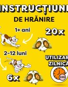 DREAMIES Catnip punguță recompense pisici 60g