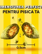 DREAMIES Catnip punguță recompense pisici 60g