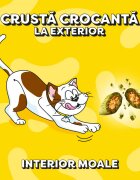 DREAMIES Catnip punguță recompense pisici 60g