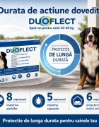 Duoflect spot-on solutie antiparazitara spot-on soluție antiparazitară câini 40-60kg 3 pipete