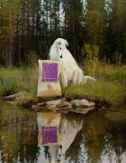 Essential Foods ESSENTIAL Highland Living Curcan și Somon hrană uscată fără cereale câini ESSENTIAL Highland Living M-XL Curcan și Somon hrană uscată fără cereale câini 10kg