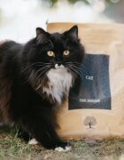 Essential Foods ESSENTIAL Jaguar Rață și Pui hrană uscată fără cereale pisici 3kg