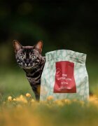 Essential Foods ESSENTIAL Little Lion Pui și Rață hrană uscată fără cereale pisici junior 1.5kg