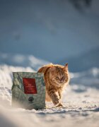 Essential Foods ESSENTIAL Little Lion Pui și Rață hrană uscată fără cereale pisici junior 3kg
