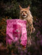 Essential Foods ESSENTIAL Panther Somon și Pește alb hrană uscată fără cereale pisici sterilizate senior 1.5kg