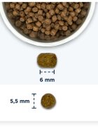 EUKANUBA Kitten Pui hrană uscată pisici junior 10kg