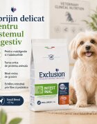 EXCLUSION Monoprotein VD Intestinal Small XS-S Porc și Orez dietă veterinară hrană uscată câini sistem digestiv 2kg