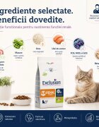 EXCLUSION Monoprotein VD Renal Phase 1 Porc și Orez dietă veterinară hrană uscată pisici sistem renal 1.5kg