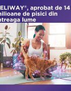 FELIWAY Diffuser Anti Stres Pentru Pisici 48 ml