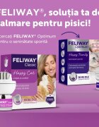 FELIWAY Diffuser Anti Stres Pentru Pisici 48 ml
