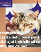 FELIWAY Happy Snack Pui plic recompense funcționale pisici sistem nervos & calmante (topping) 15g x 6buc