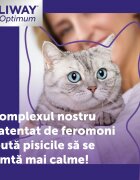 FELIWAY Optimum Diffuser și Rezervă feromoni sistem nervos & calmante pisici 1buc + 48ml