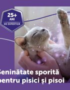 FELIWAY Optimum Rezervă diffuser feromoni sistem nervos & calmante pisici 48ml