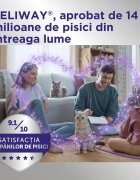 FELIWAY Optimum Rezervă diffuser feromoni sistem nervos & calmante pisici 48ml