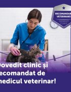 FELIWAY Optimum Rezervă diffuser feromoni sistem nervos & calmante pisici 48ml