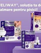 FELIWAY Optimum Rezervă diffuser feromoni sistem nervos & calmante pisici 48ml