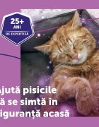 FELIWAY Rezerva Diffuser Anti Stres Pentru Pisici 48 ml