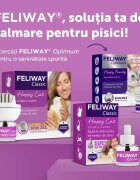 FELIWAY Rezerva Diffuser Anti Stres Pentru Pisici 48 ml