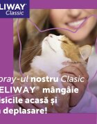 FELIWAY Spray 60 ml
