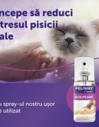 FELIWAY Spray 60 ml