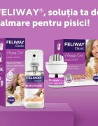 FELIWAY Spray 60 ml