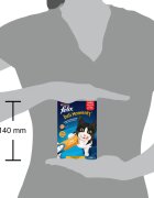 FELIX Deli Moments Pui plic recompense pisici (piure) 10g x 4buc