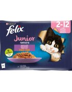 FELIX PURINA Fantastic Junior Pui pachet mixt plic hrană umedă pisici junior (în aspic) 85g x 4
