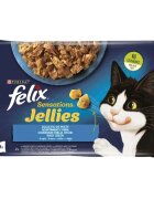FELIX PURINA Sensations 2 arome (Somon și Pastrav) pachet mixt plic hrană umedă pisici (în aspic) 85g x 4