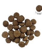 FOR DOG Adult Maxi L-XL Pasăre hrană uscată câini 10kg