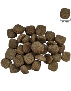 FOR DOG Adult Medium M Pasăre hrană uscată câini 10kg