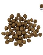 FOR DOG Adult Mini XS-S Pasăre hrană uscată câini 10kg