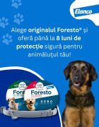 Foresto deparazitare externă câini zgardă deparazitare externă câini și pisici zgardă XS - S 38 cm gri 1buc