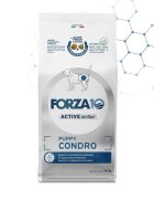 FORZA10 Active VetDiet Chondro Puppy XS-XL Pește dietă veterinară hrană uscată monoproteică câini junior sistem articular 10kg