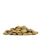 FORZA10 Active VetDiet Echo Active XS-XL Pește dietă veterinară hrană uscată monoproteică câini alergii 10kg