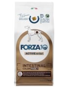 FORZA10 Active VetDiet Intestinal Colon Fase 1 XS-XL Pește dietă veterinară hrană uscată monoproteică câini sistem digestiv 10kg