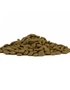 FORZA10 Active VetDiet Intestinal Colon Fase 1 XS-XL Pește dietă veterinară hrană uscată monoproteică câini sistem digestiv 10kg