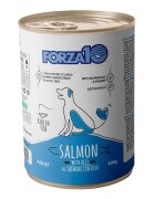 FORZA10 Maintenance XS-XL Somon și Orez conservă hrană umedă câini (pate) 400g