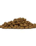 FORZA10 Monodiet Medium Adult M Miel dietă veterinară hrană uscată monoproteică câini alergii 12kg