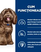 HILL'S Prescription Diet b/d Ageing and Alertness Care Pui dietă veterinară câini senior hrană uscată 12kg