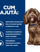 HILL'S Prescription Diet b/d Ageing and Alertness Care Pui dietă veterinară câini senior hrană uscată 12kg