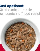 HILL'S Prescription Diet c/d Multicare Stress Pui cu Legume dietă veterinară pisici conservă hrană umedă sistem urinar (în sos) 82g