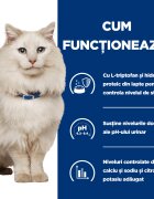 HILL'S Prescription Diet c/d Multicare Stress Pui cu Legume dietă veterinară pisici conservă hrană umedă sistem urinar (în sos) 82g