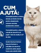 HILL'S Prescription Diet c/d Multicare Stress Pui cu Legume dietă veterinară pisici conservă hrană umedă sistem urinar (în sos) 82g